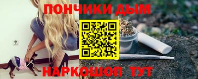 дурь Шелехов
