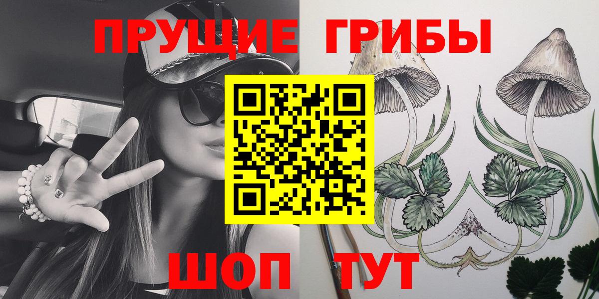 Красный Сулин  Галлюциногенные грибы Psilocybe  Вход с VPN 